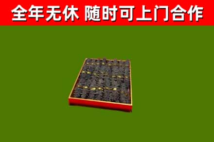 义安回收海参